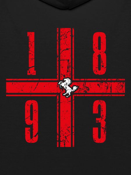 Stuttgart Fanmotiv