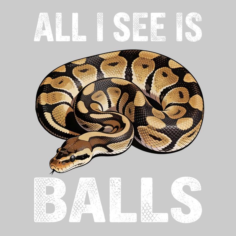 Königspython Schlangen Liebhaber Terrarium Python