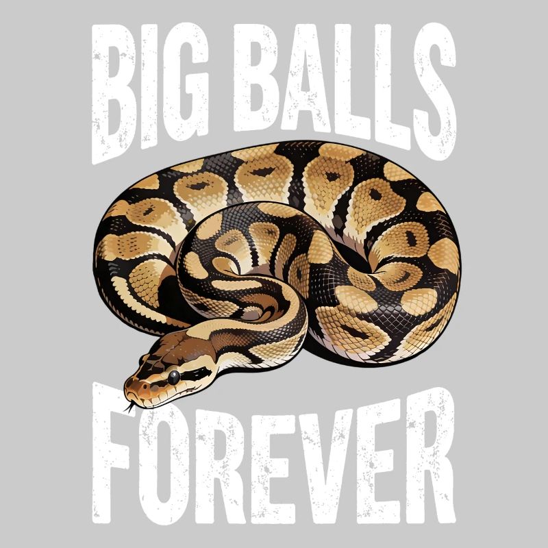 Python roi Serpents Amateurs de terrarium Python