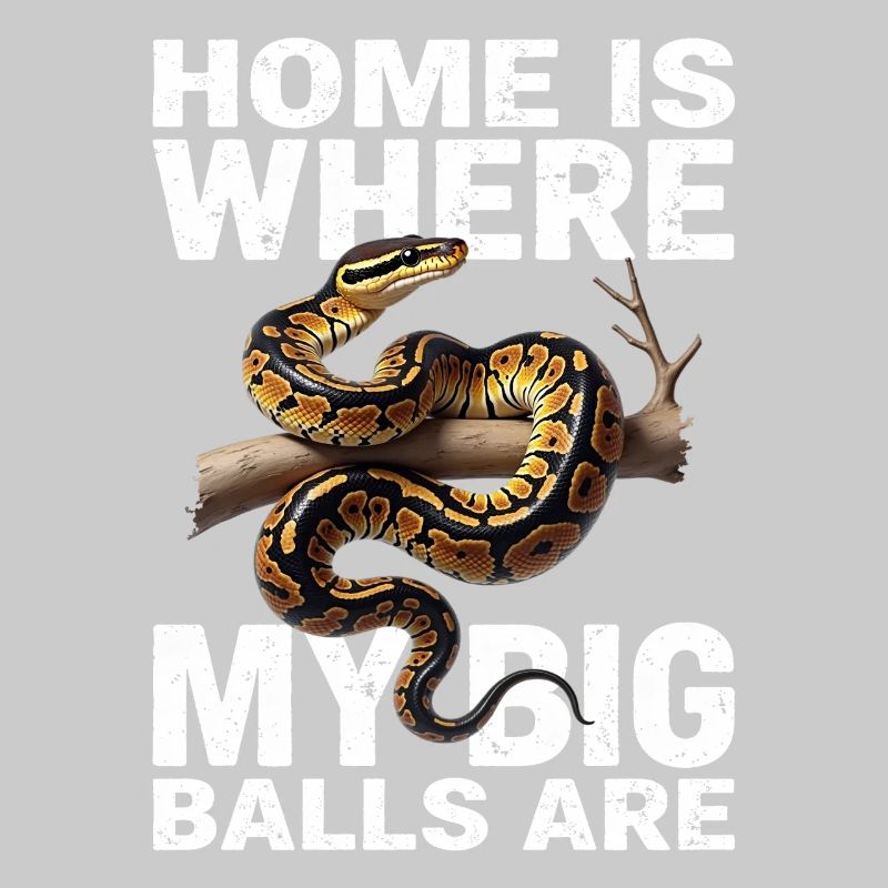 Python roi Serpents Amateurs de terrarium Python