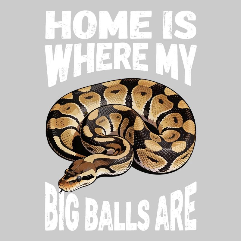 Python roi Serpents Amateurs de terrarium Python