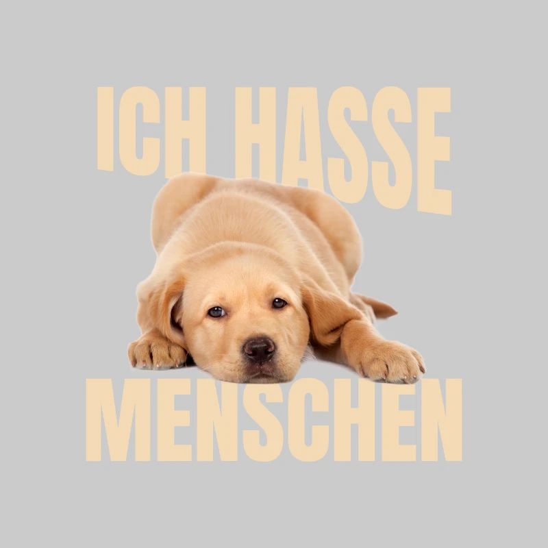 Labrador Meme