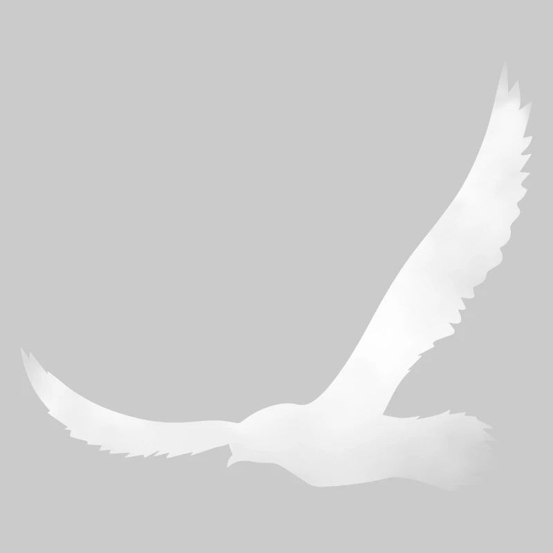 Bird silhouette from cloud