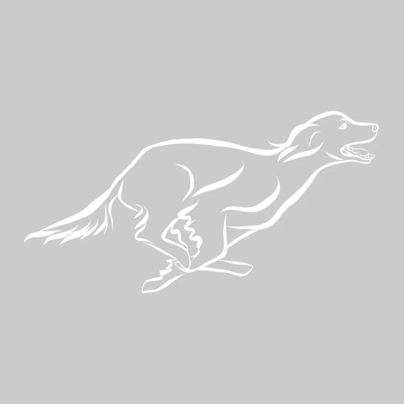 Setter Feldsuche