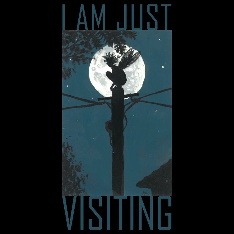 Just Visiting