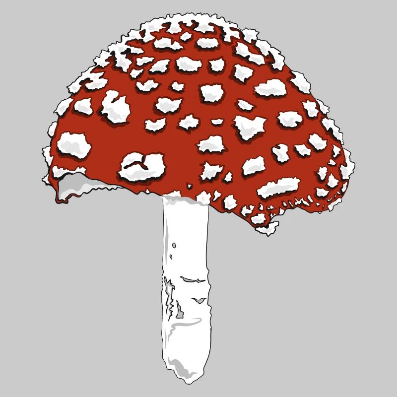 Toadstool toadstool amanita
