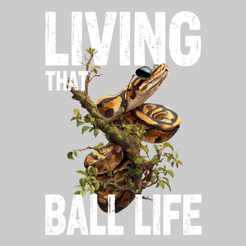 Python roi Serpents Amateurs de terrarium Python