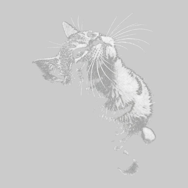 Graustufen Katzenschnurrer Blick