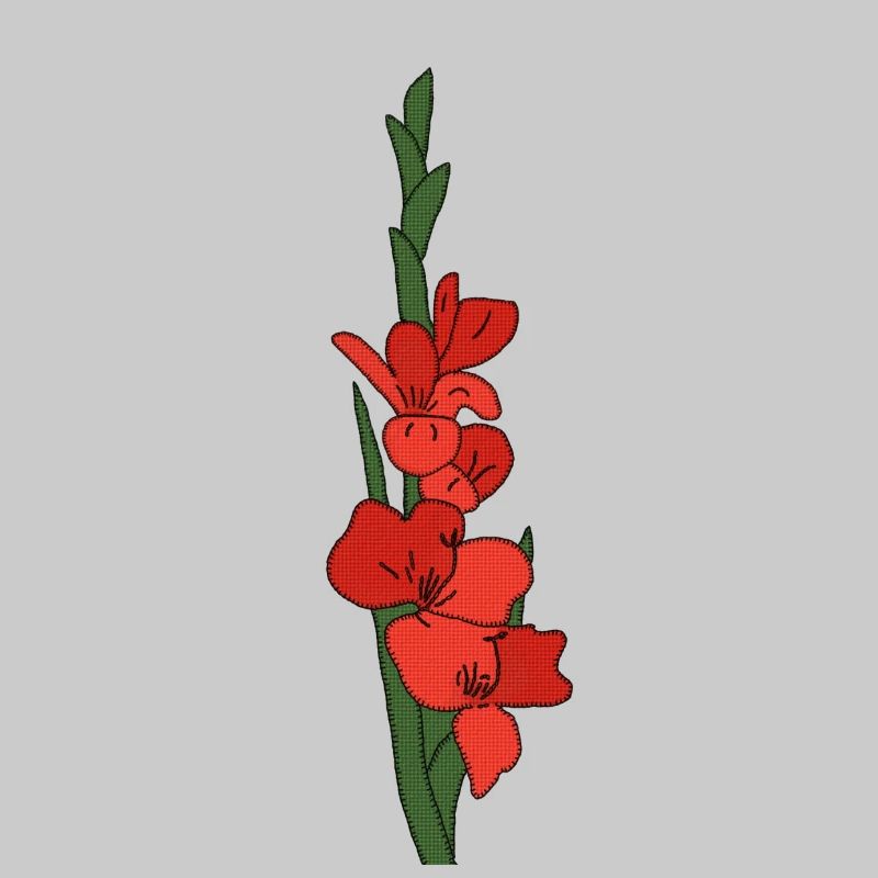 Gladiole