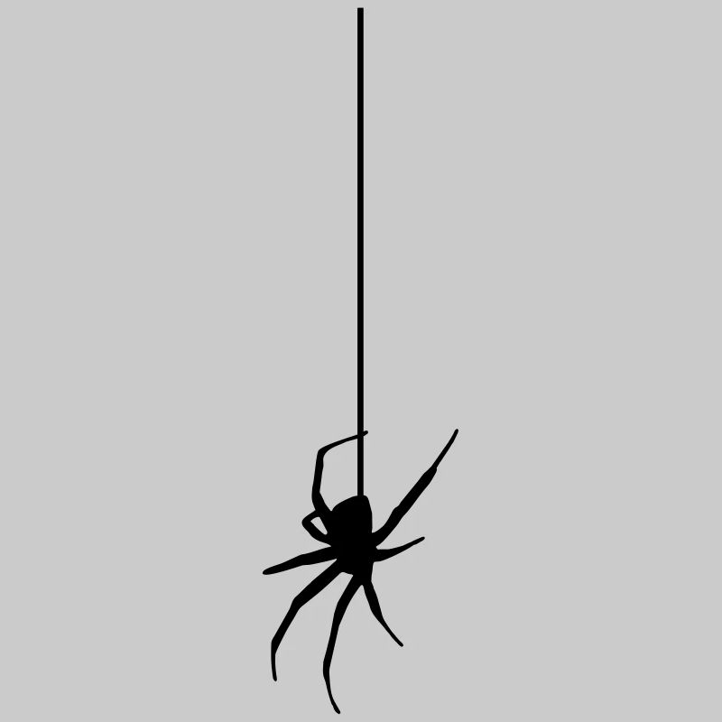 Spider on a thread - Araignée