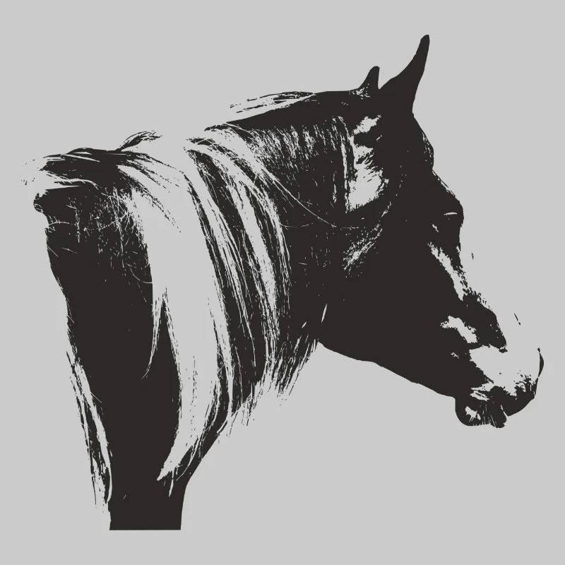 Lewitzer Schecke, Pferd Schecke, Pinto