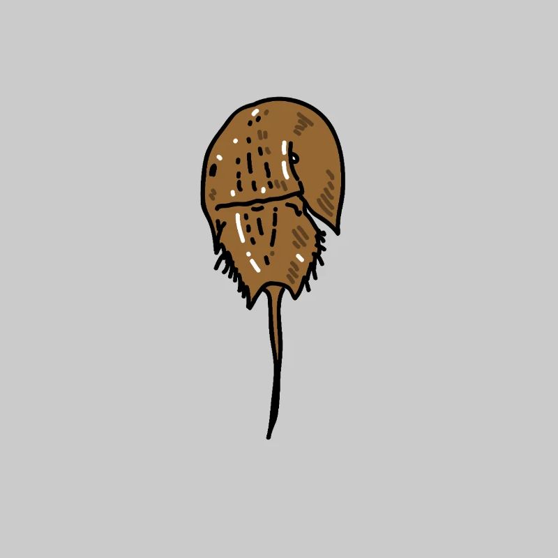 Ancient Horseshoe Crab