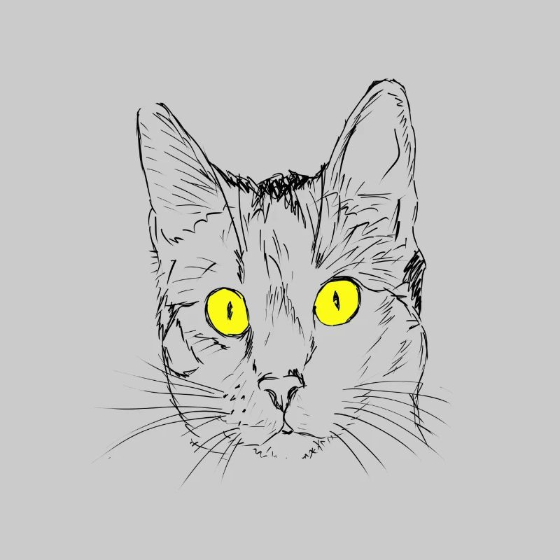 Chat, gueule de bois, amant de chat, tête de chat, oeil de chat