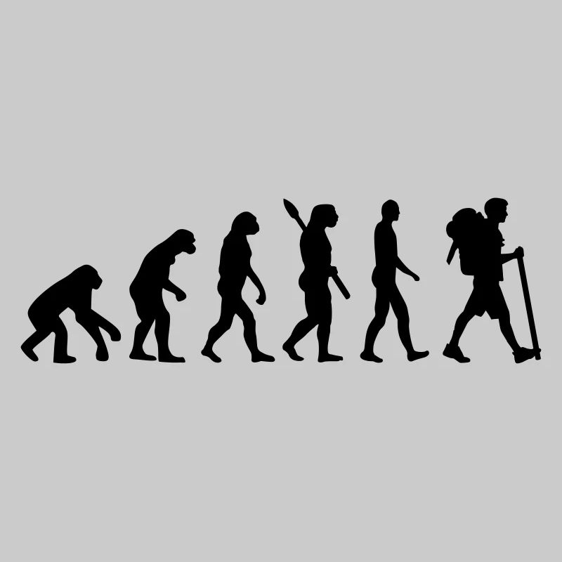 Évolution Cheminement