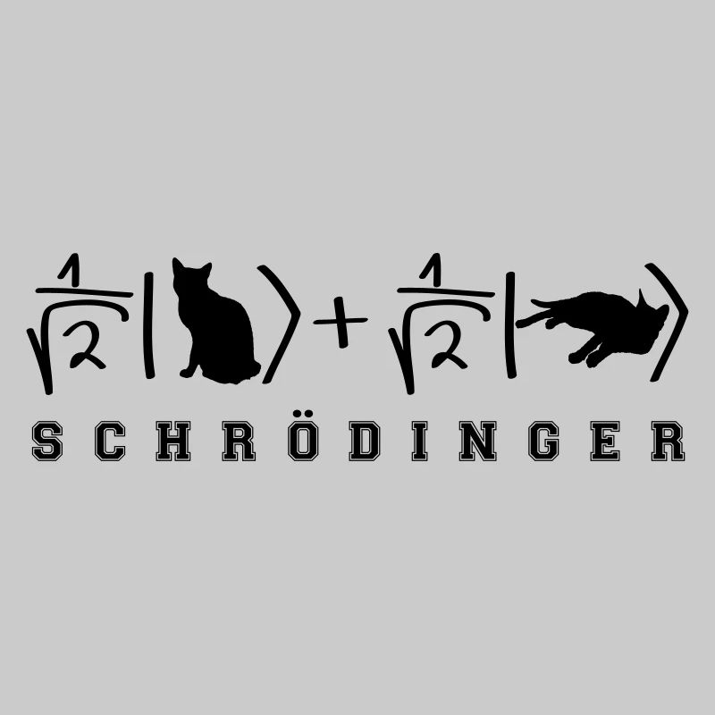 Chat de Schrödinger