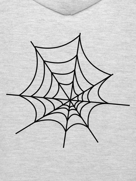 Spinnennetz