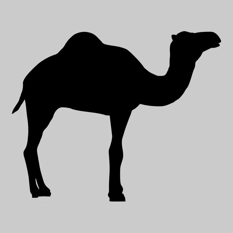Kamel
