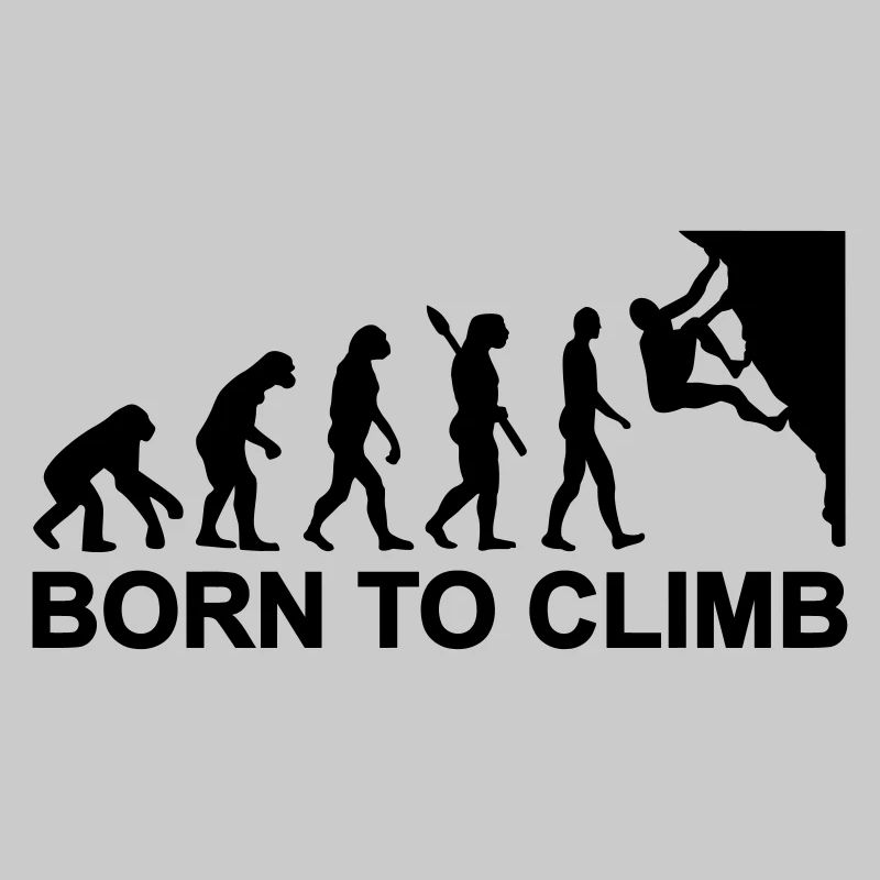 Évolution Escalade
