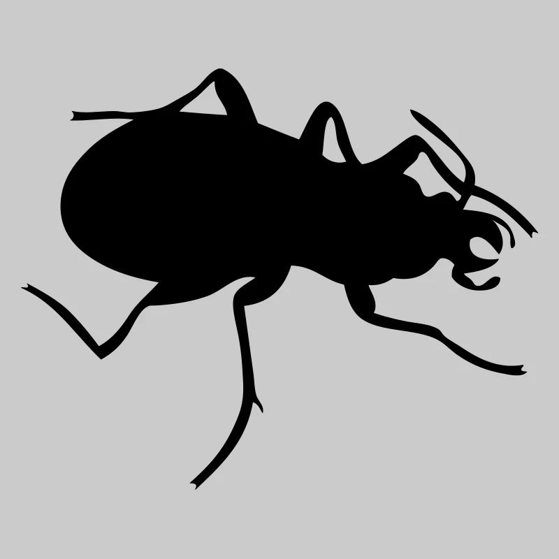 Bug