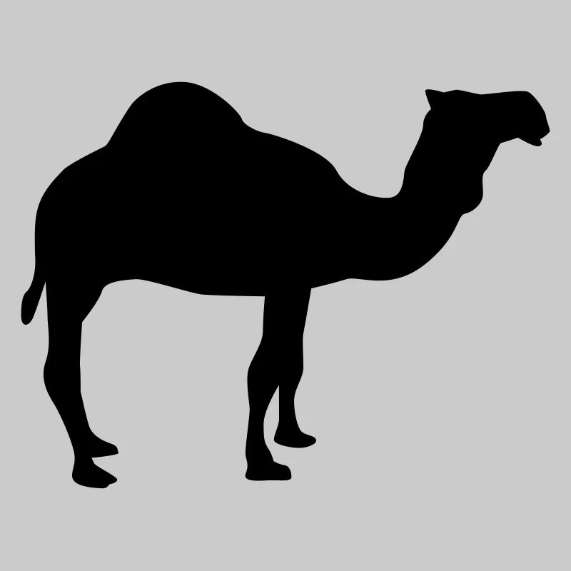 Kamel