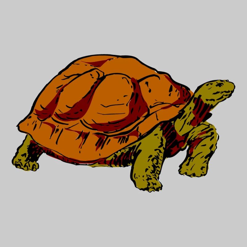 Schildkröte
