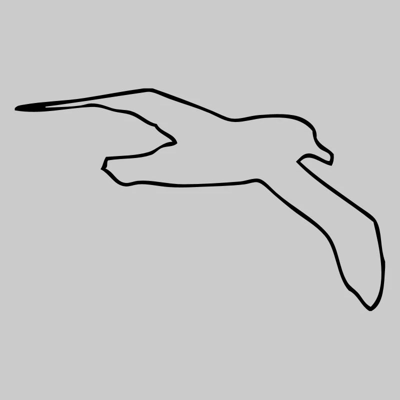Möwe