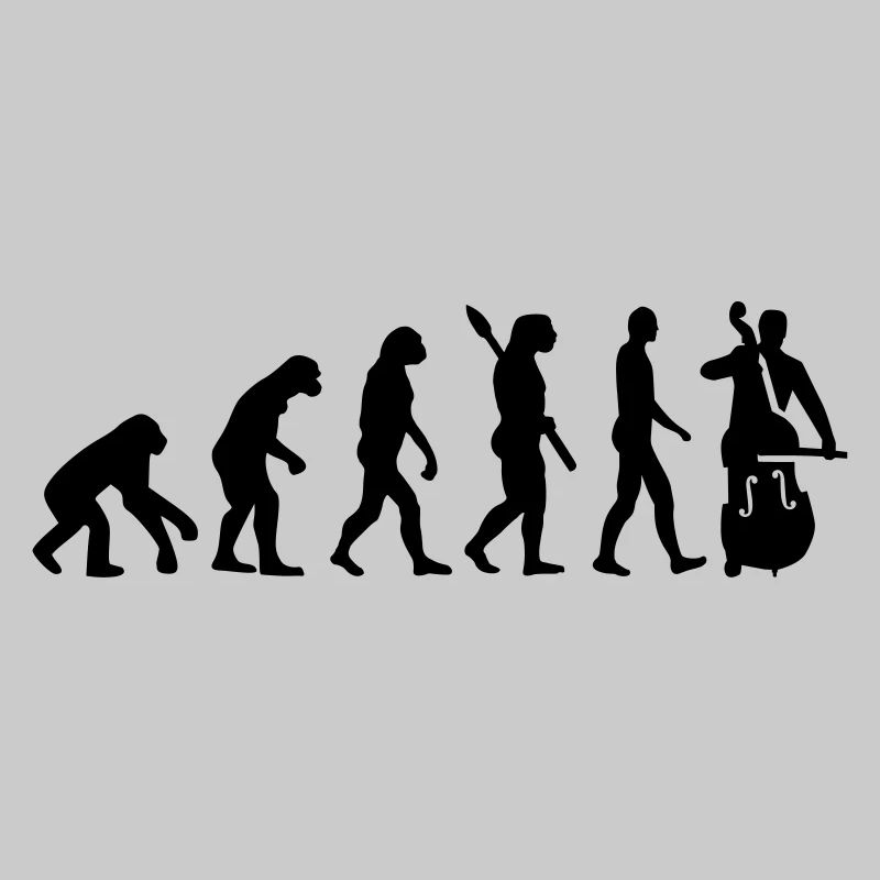 Evolution Contrabasse