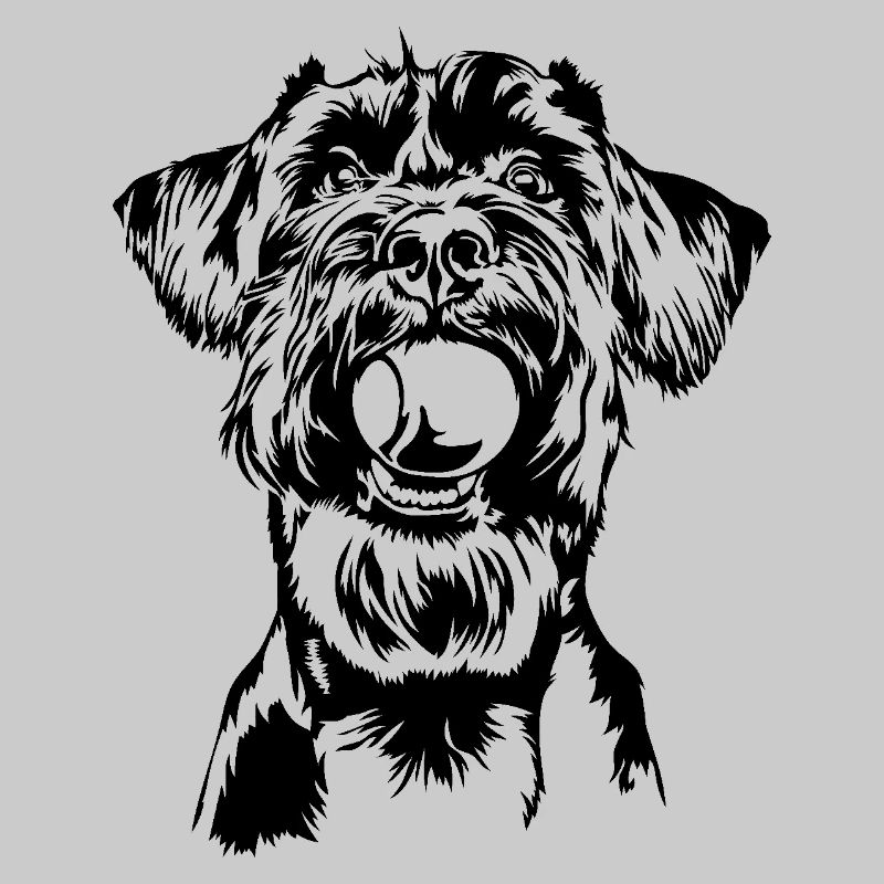 Schnauzer géant Schnauzer chien chien Wilsigns