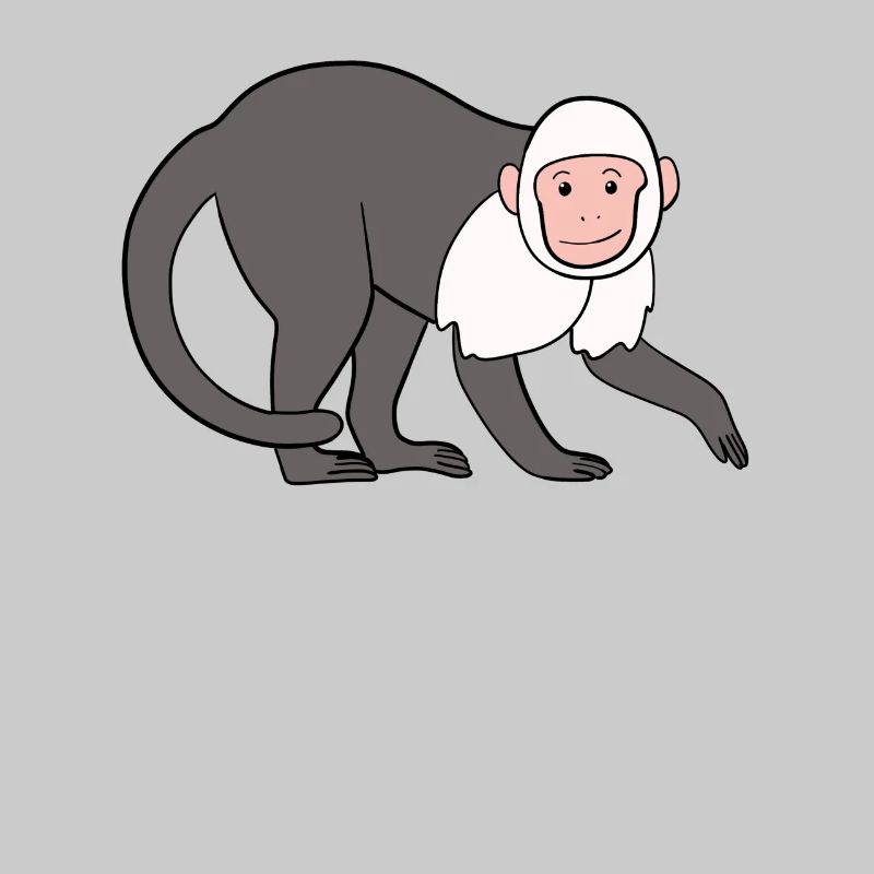 Capuchin Monkey Monkey