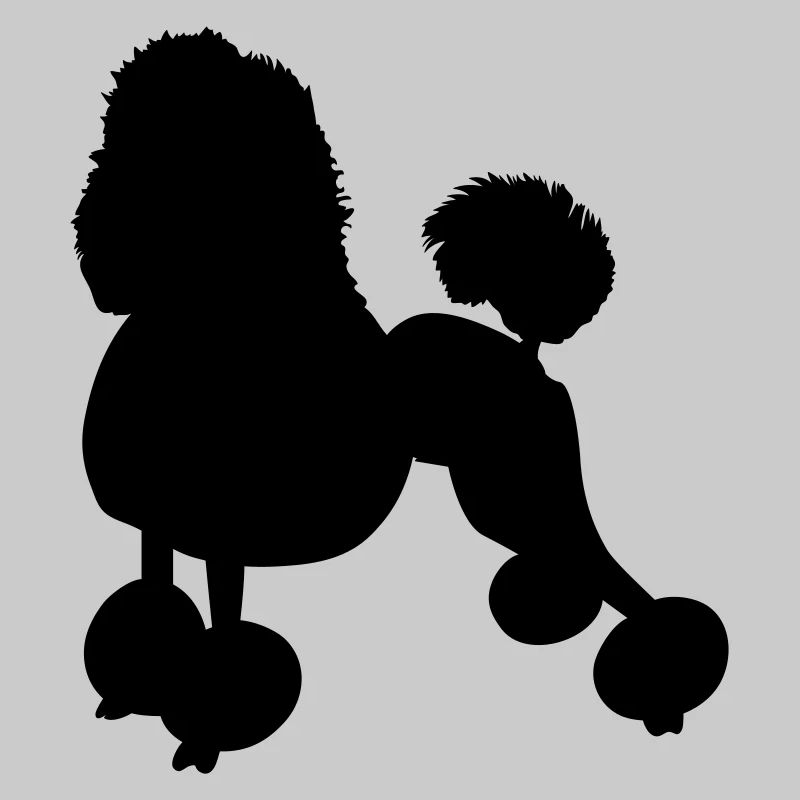 caniche