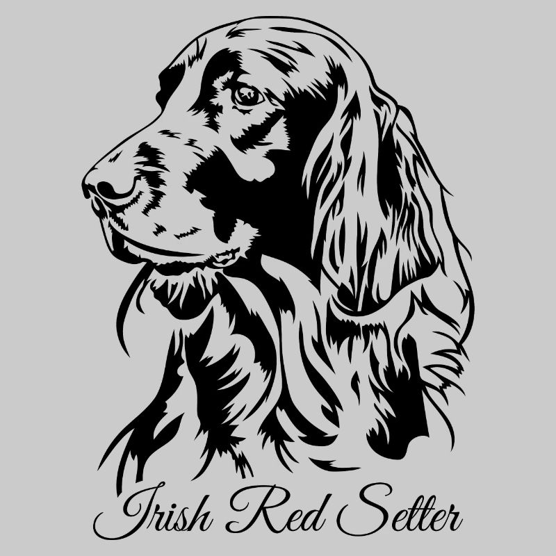 Irish Red Setter Jagdhund Jagdhunde Hunde Wilsigns