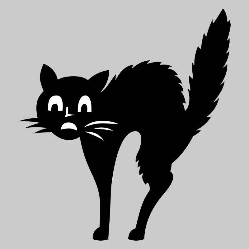Katze Angst