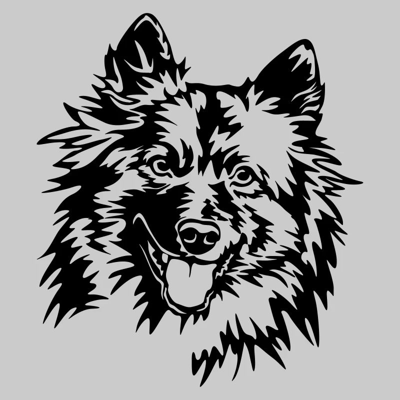 Wolfsspitz Kopf