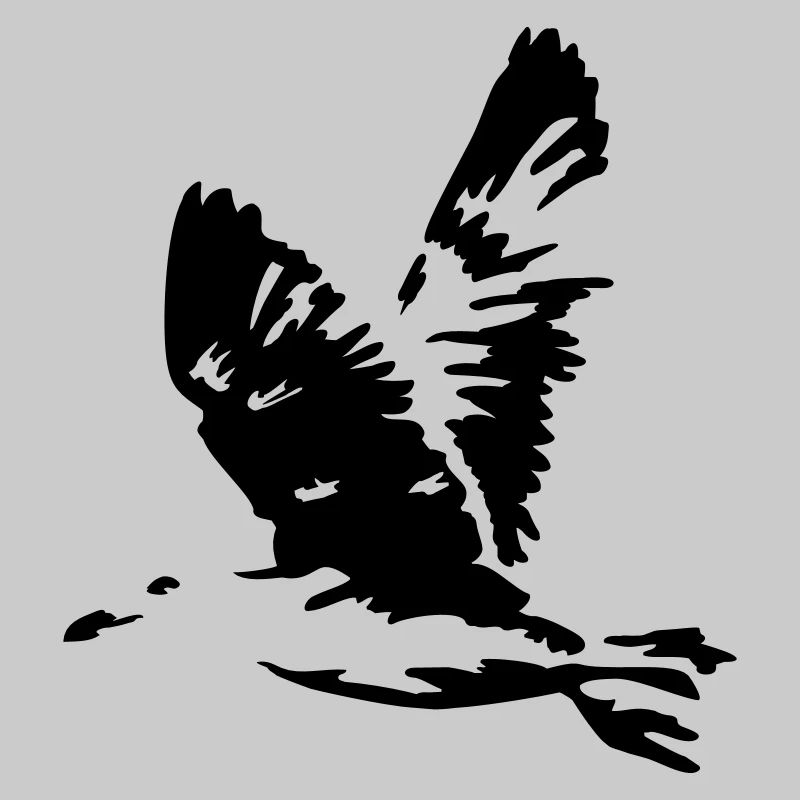 seagull