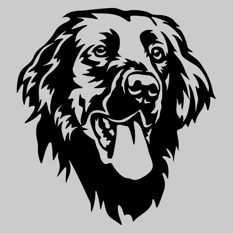 Flat-coated Retriever Head