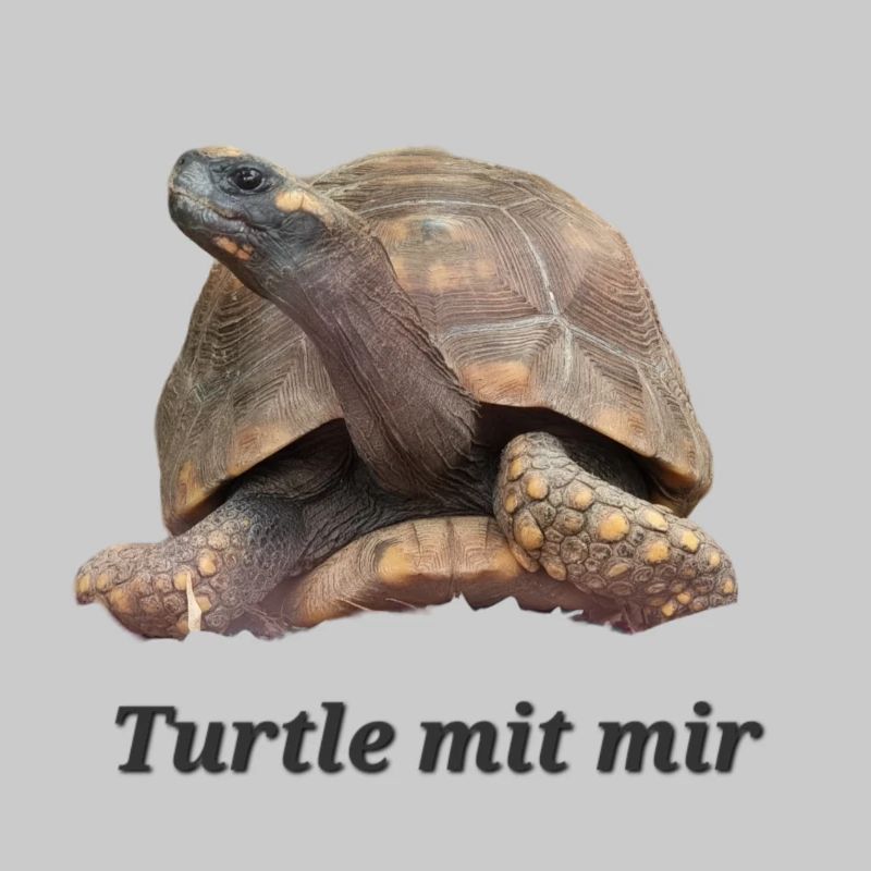 Turtle mit mir