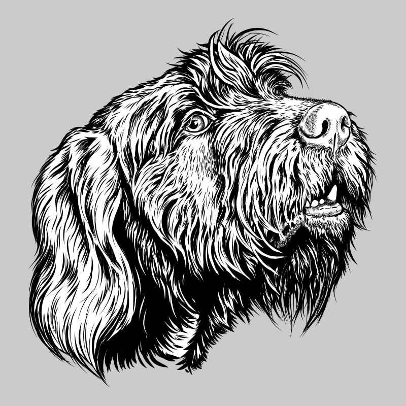 Pudelpointer redet mit
