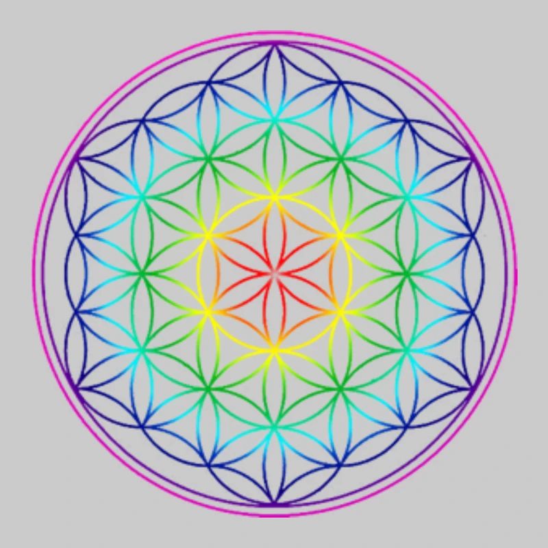 REGENBOGENBLUME DES LEBENS