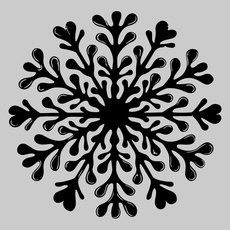 Snowflake Winter Icon