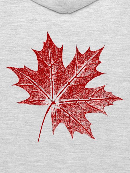 Feuille d’érable