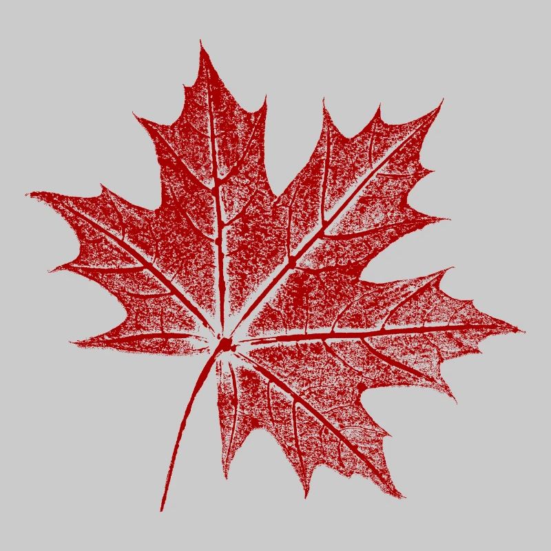 Feuille d’érable