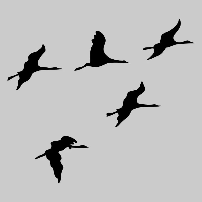 oiseau