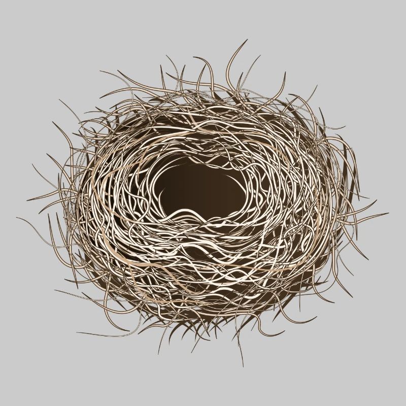 empty bird's nest or easter basket for spring