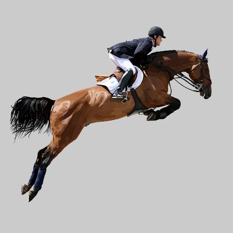 Cavalier de saut d'obstacles dynamique au galop