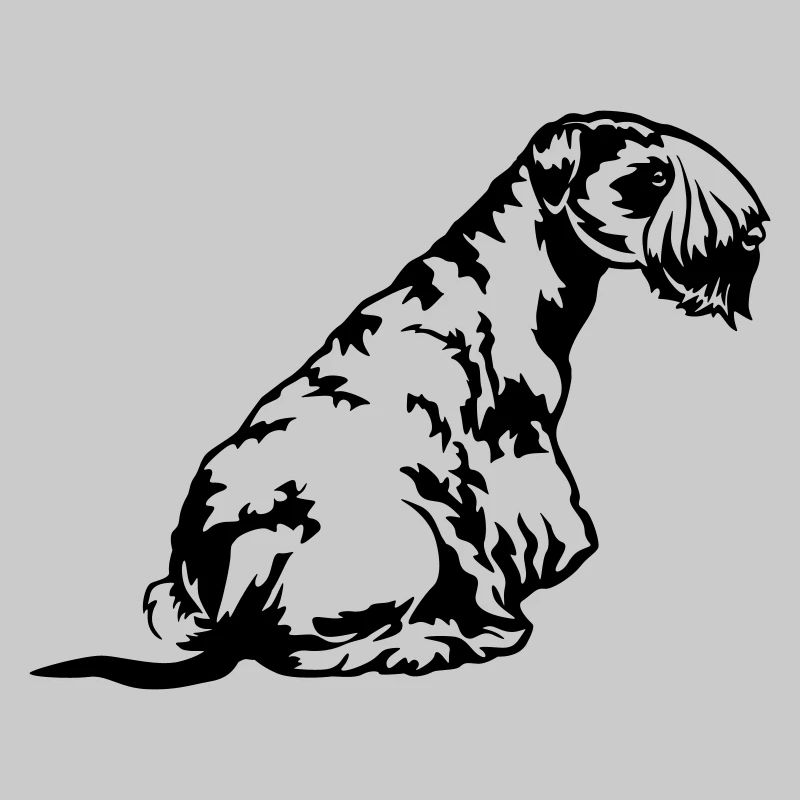 Cesky Terrier