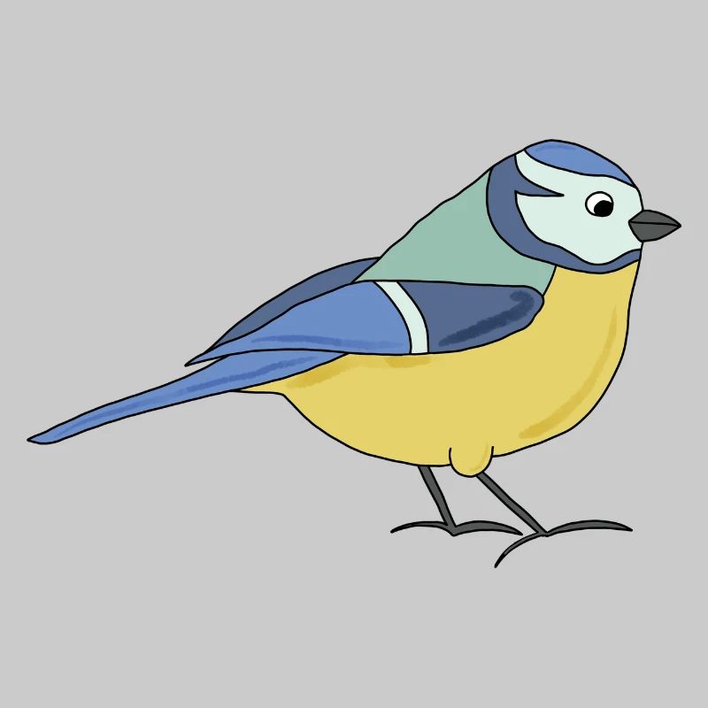 small blue, multicoloured