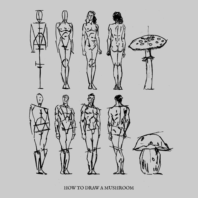 comment dessiner un champignon / champignons / Art