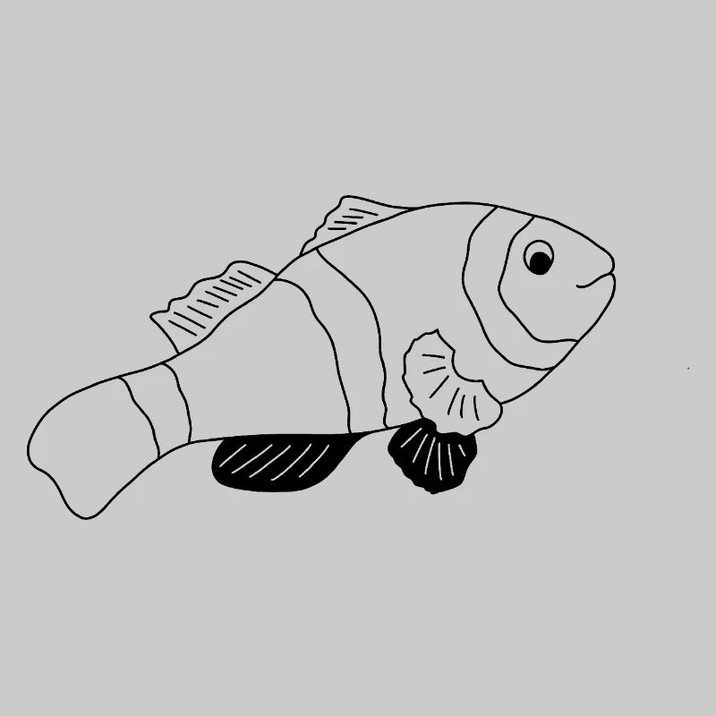 Clownfisch - Grafik schwarz-weiss
