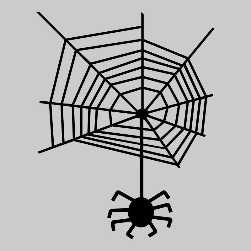 Spider web spiderweb Spider
