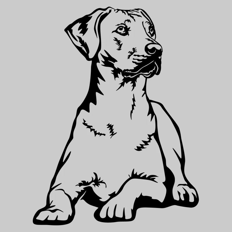 Rhodesian Ridgeback